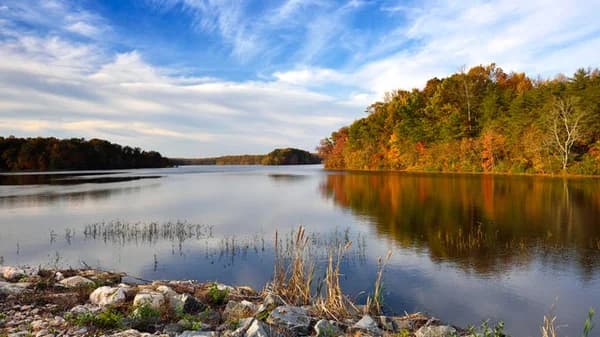Skip the Small Talk and Hike at Burke Lake